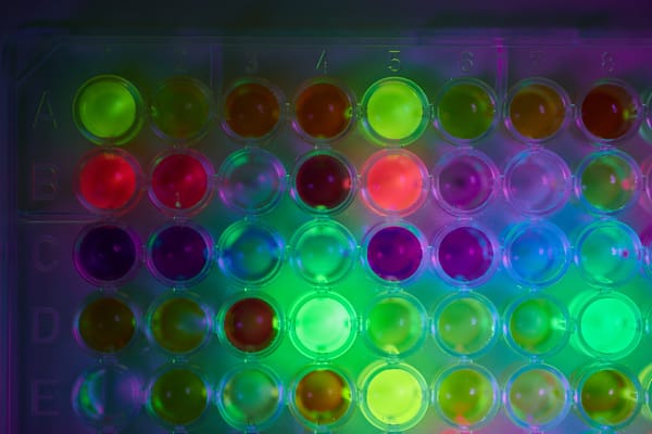 Fluorescent multi-well plate with samples glowing in various colours under lighting